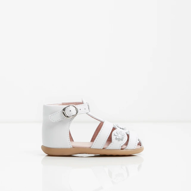 Image 1 of product 100684