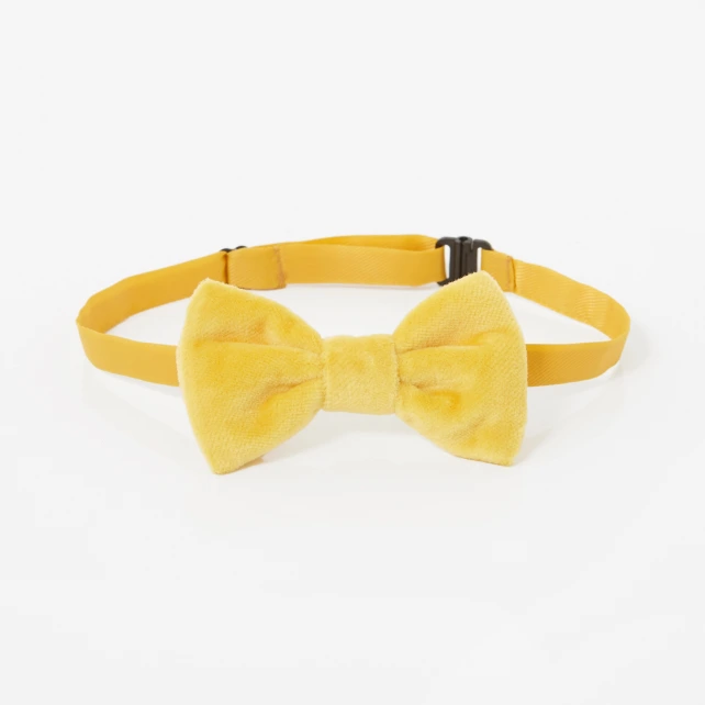 Image 1 of product 102203