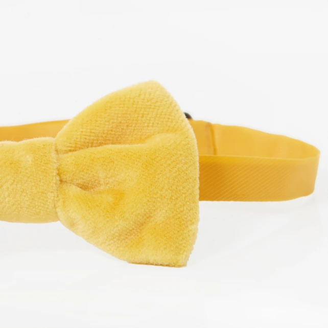 Image 2 of product 102203