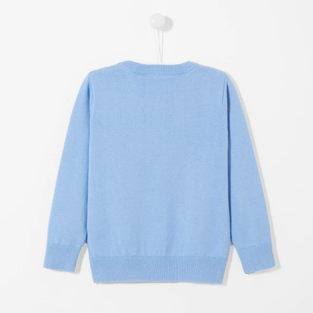 Pull enfant garçon