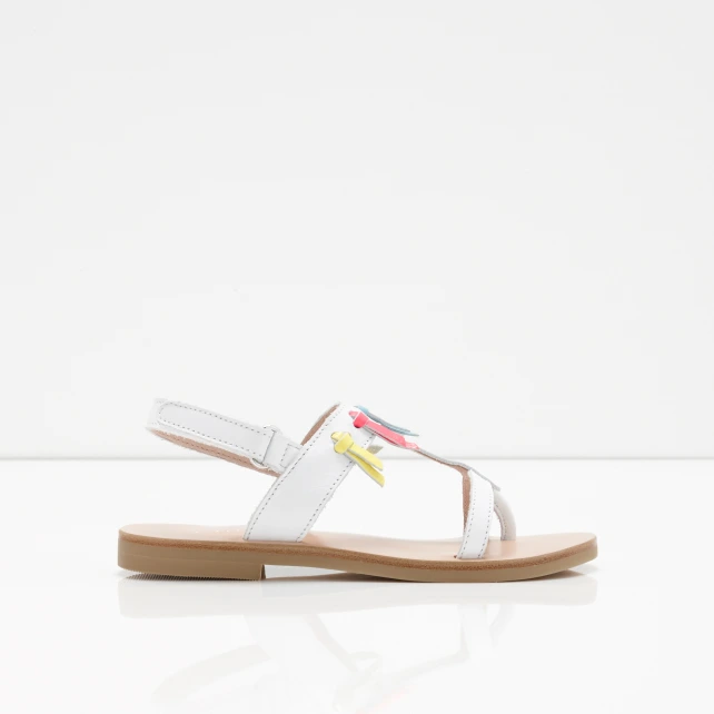 Image 1 of product 104779