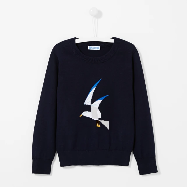 Pull enfant garçon