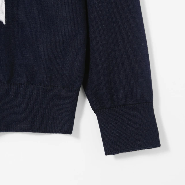 Pull enfant garçon