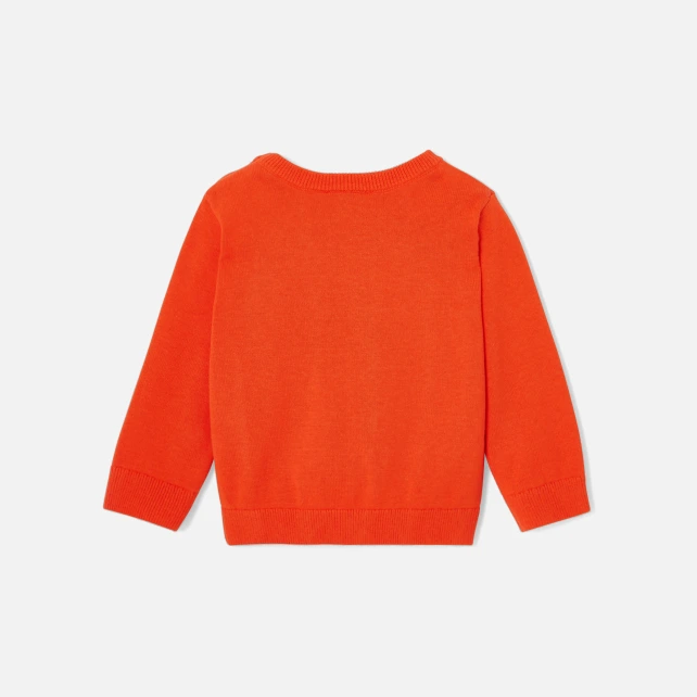 Pull bébé garçon intarsia ours