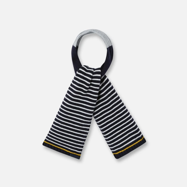 Echarpe rayée