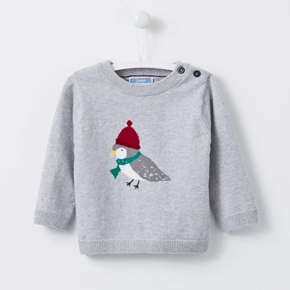 Pull intarsia Oiseau