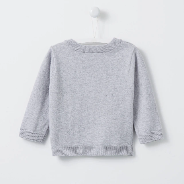 Pull intarsia Oiseau