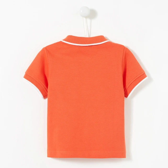 Image 2 of product 109778