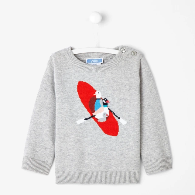 Pull bébé garçon Intarsia oiseaux