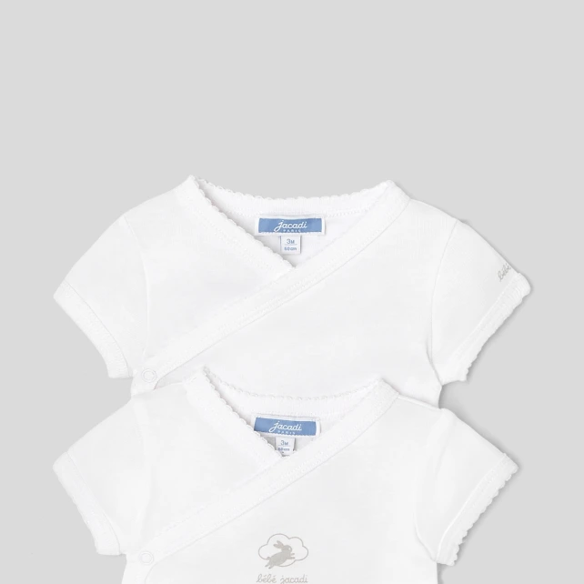 Lot de 2 bodies manches courtes bébé