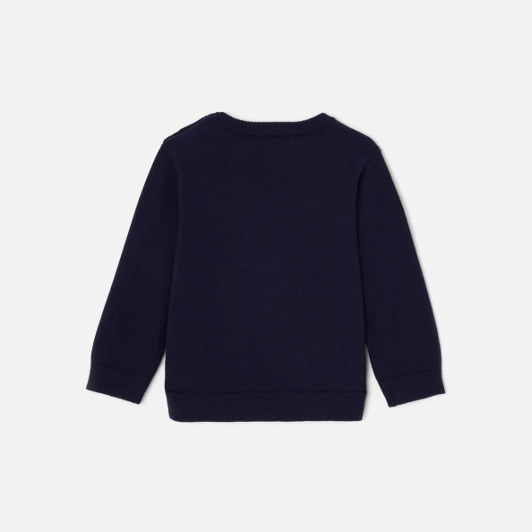 Pull bébé garçon 
