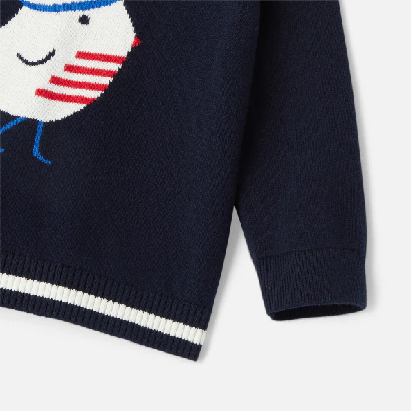 Pull bébé garçon en coton