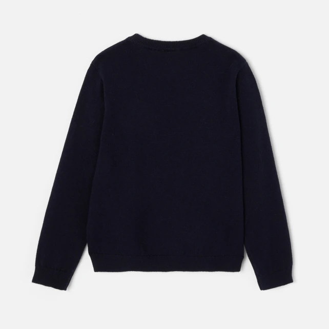 Pull enfant garçon Intarsia