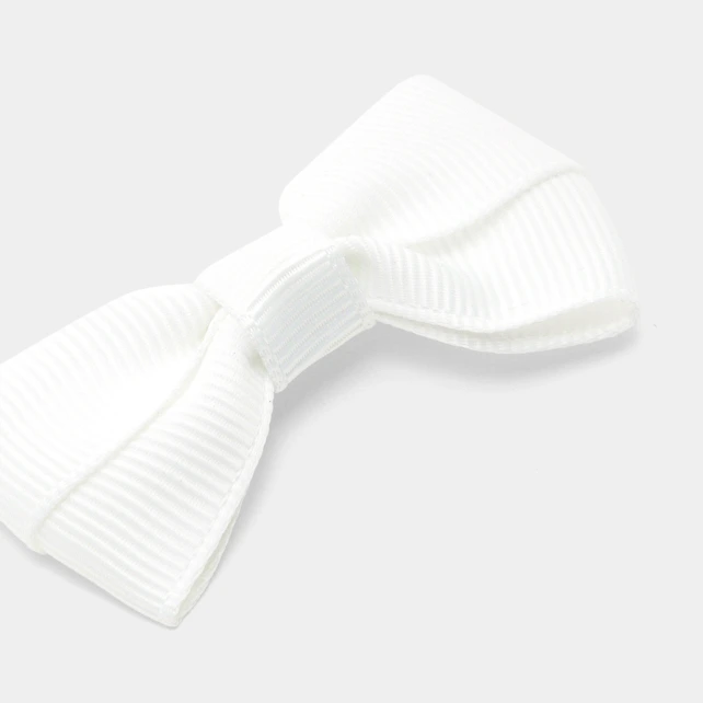 Duo de barrettes enfant fille