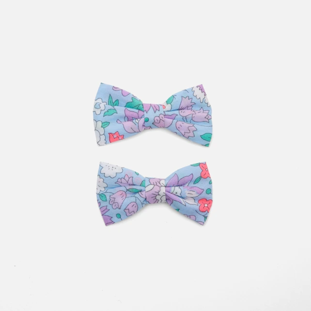 Duo de barrettes enfant fille