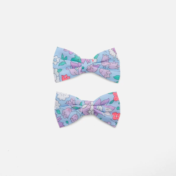 Duo de barrettes enfant fille