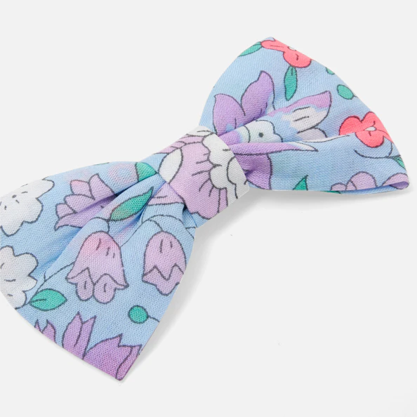 Duo de barrettes enfant fille