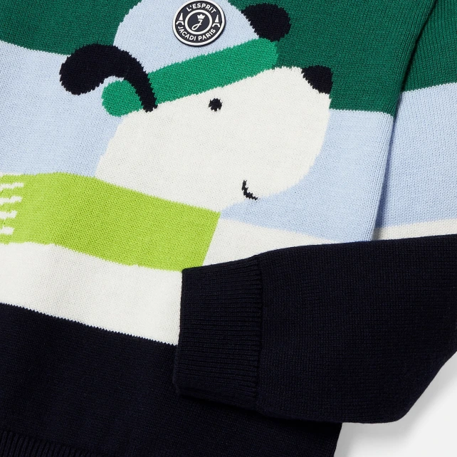 Pull enfant garçon en coton