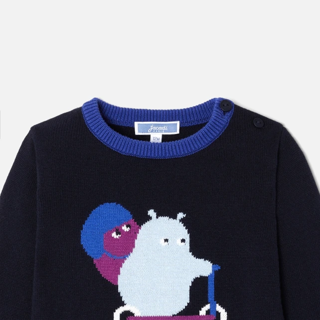 Pull bébé garçon 