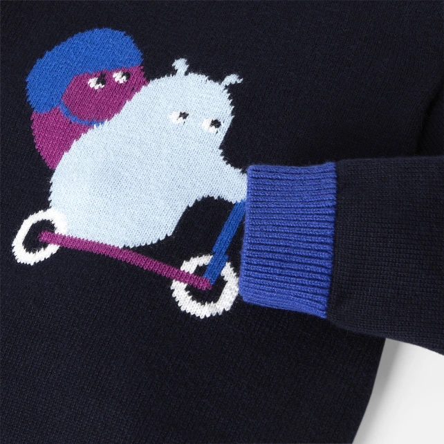Pull bébé garçon 
