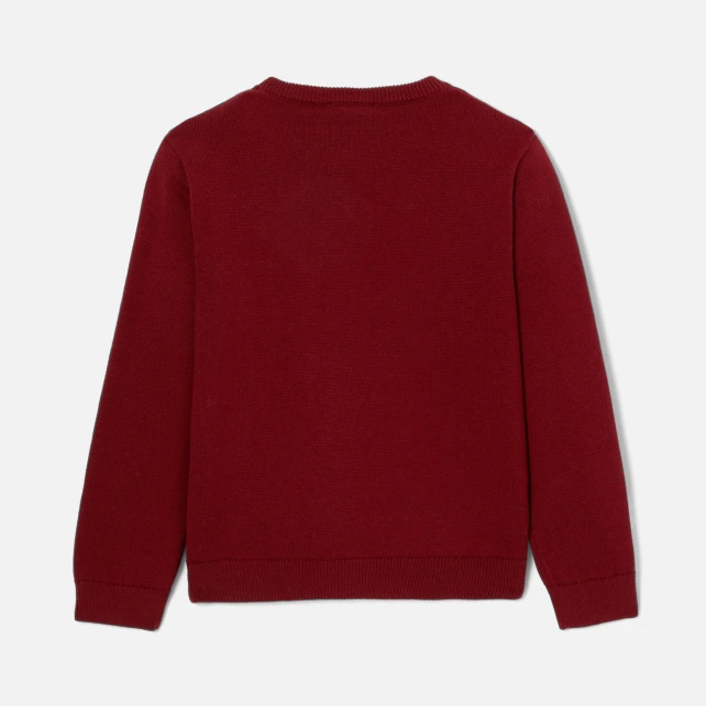 Pull enfant garçon en coton