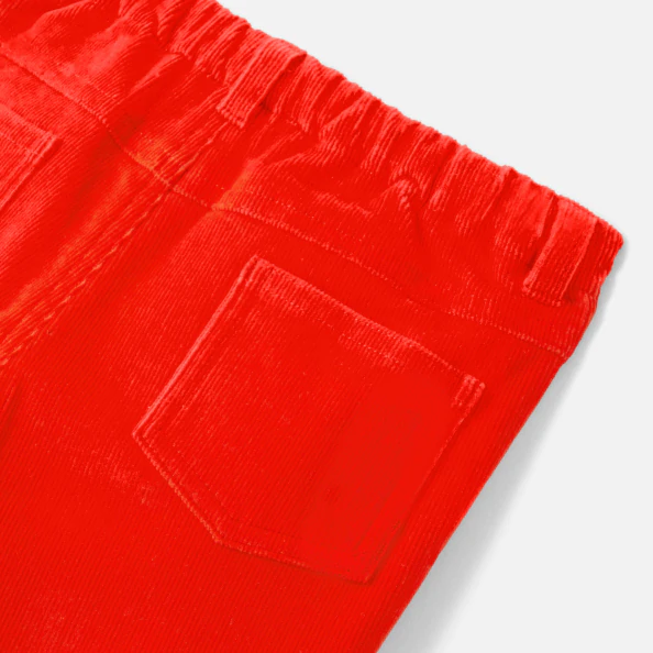 Pantalon bébé garçon en velours