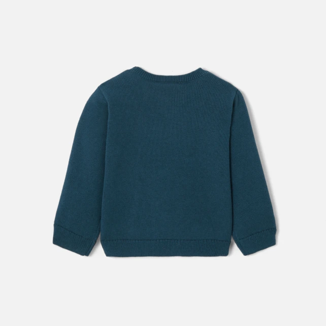 Pull bébé garçon Intarsia cheval