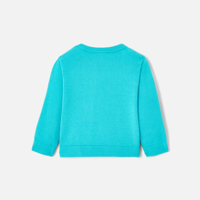 Pull bébé garçon en coton