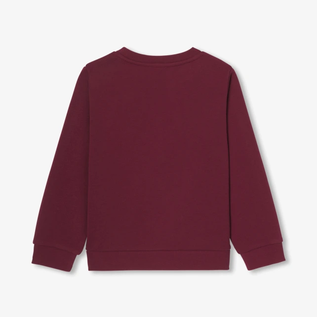 Sweat enfant garçon en molleton
