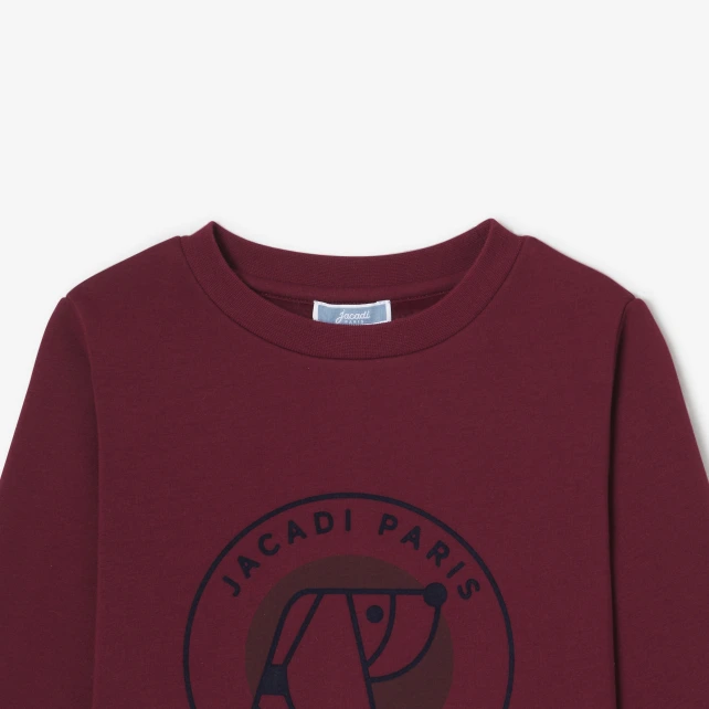 Sweat enfant garçon en molleton