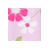 Robe bébé fille motif fleurs